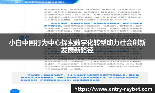 小白中国行为中心探索数字化转型助力社会创新发展新路径