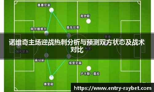 诺维奇主场迎战热刺分析与预测双方状态及战术对比
