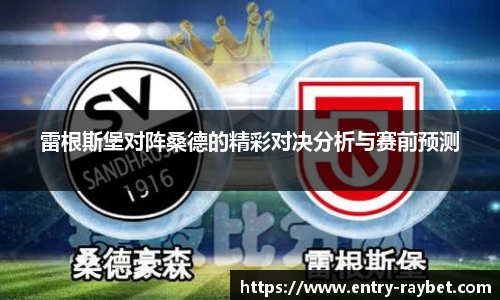 雷竞技ray官网